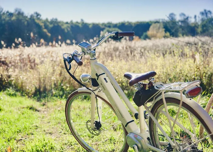 Gut Pohnstorf * Alt Suhrkow